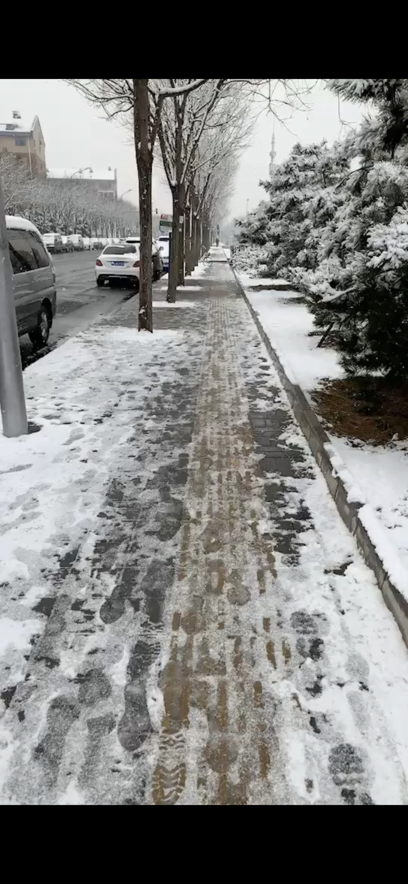 原动态图片